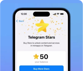 Organizing Payments through Telegram Stars and TON Cryptocurrency